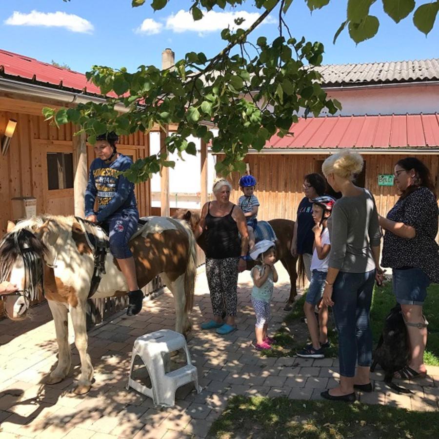 Ferienhaus Spielburg 阿尔多廷 外观 照片